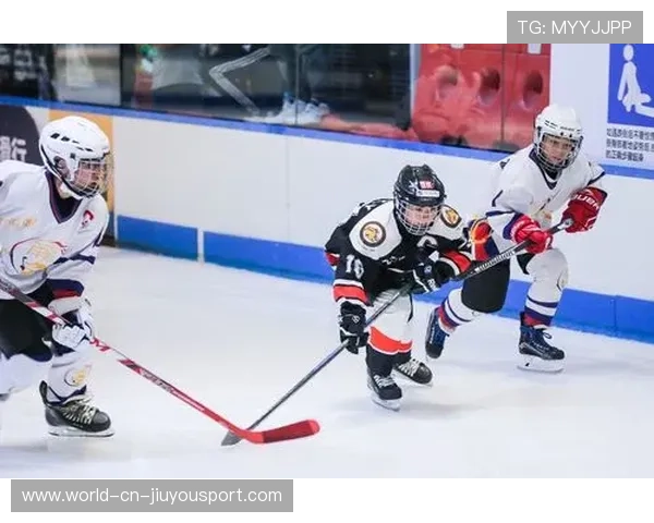 冰球赛场球员冲突升级,联赛纪律委员会开会讨论